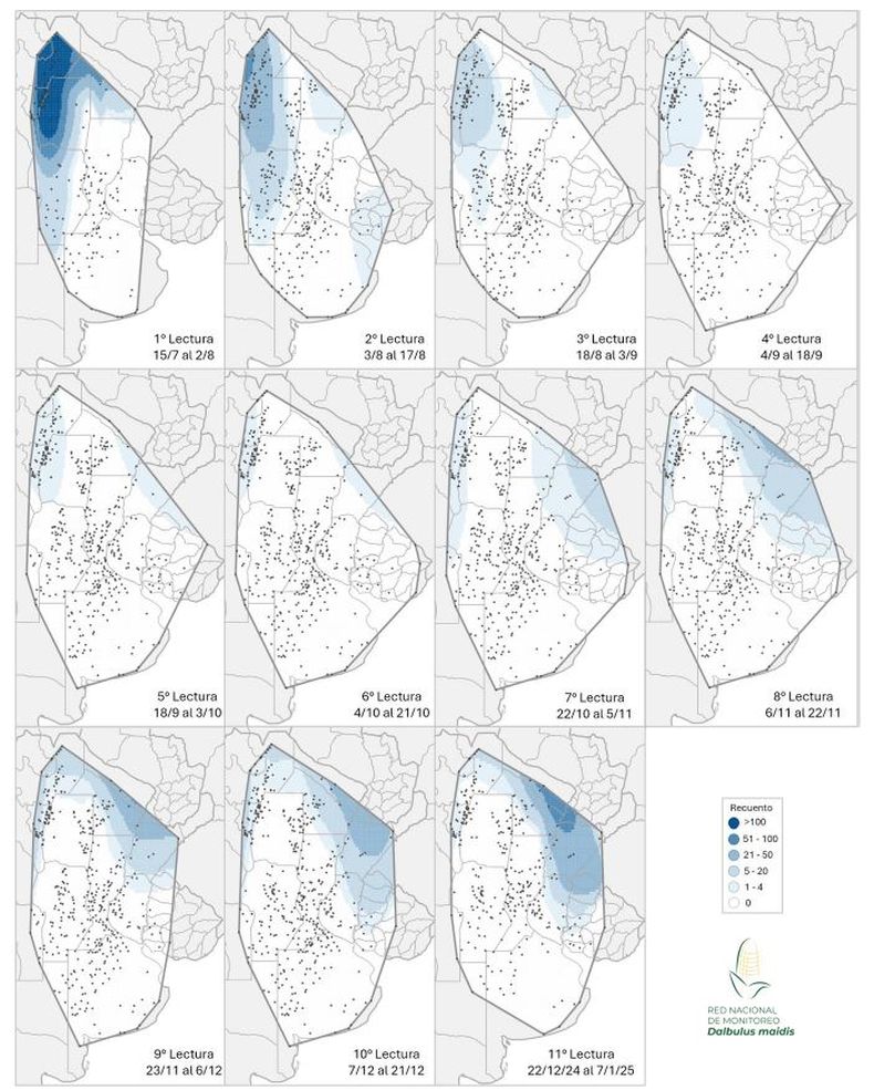 Mapa de calor establecido en funci&oacute;n de la evoluci&oacute;n de la cantidad de adultos de la chicharrita del ma&iacute;z (Dalbulus maidis) capturados con trampas crom&aacute;ticas adhesivas en las localidades relevadas en el primer, segundo, tercer, cuarto, quinto, sexto, s&eacute;ptimo, octavo, noveno, d&eacute;cimo y und&eacute;cimo informe de la Red Nacional de Monitoreo de la chicharrita del Ma&iacute;z.