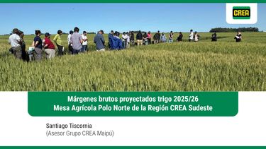 charla region crea sudeste: analisis de margenes brutos proyectados para trigo 2025/26