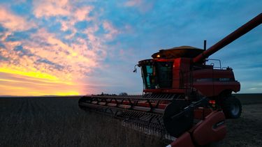 financiamiento: alternativas disponibles para el sector agropecuario