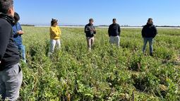 sistemas productivos sostenibles: medir para decidir mejor