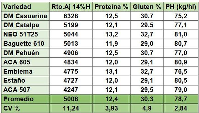Ensayo en López (ciclo intermedio). Resultados de calidad de variedades de trigo ordenados según ranking de rendimiento de grano. CV%: coeficiente de variación de la muestra. Rendimiento ajustado con un 14% de humedad. Peso hectolítrico expresado en kg/hl
