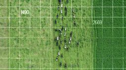 agtech: una solucion integrada para optimizar el uso del pasto