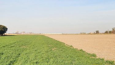 gestion financiera: cambio de paradigma para las empresas agropecuarias