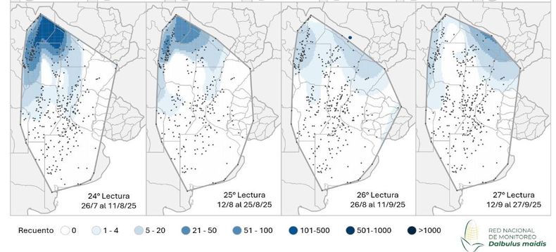 Mapa de calor establecido en funci&oacute;n de la evoluci&oacute;n de la cantidad de adultos de D.Maidis capturados con trampas crom&aacute;ticas adhesivas en las localidades relevadas en los &uacute;ltimos monitoreos de la Red Nacional de Monitoreo de la chicharrita del ma&iacute;z.
