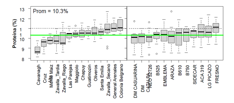 Tenor proteico (humedad al 13,5%) por localidad y cultivar en 2025/26.