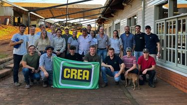 yerba mate, forestacion y ganaderia: tres de las actividades del grupo crea mas joven de la red