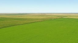 ¡nuevo! informe inmuebles rurales: perspectivas favorables para el 2026