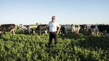Gestión empresarial rural con diversificación: Darío Dell Erba, integrante del CREA Cuenca.