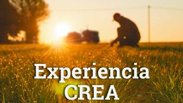 revista crea n° 498 - experiencia crea