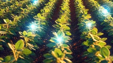 criptoativos en el agro: una investigacion pionera realizada por un empresario crea