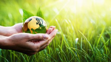 Carbono: nuestros suelos almacenan un 2% de la reserva mundial