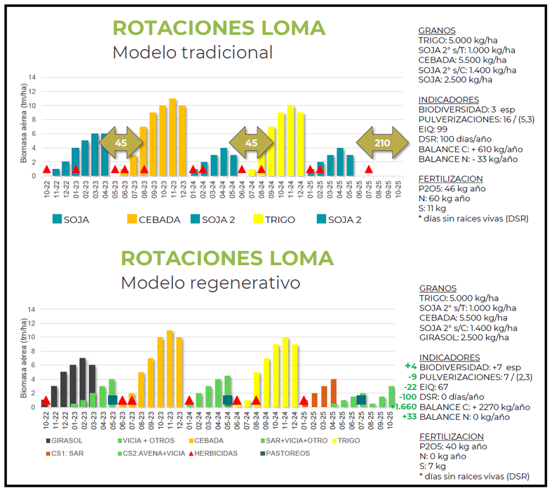 Evoluci&oacute;n de las rotaciones en un sistema de agricultura regenerativa en ambientes de loma.