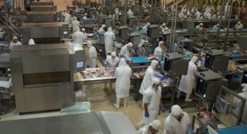 Frigorífico exportador