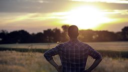 vuelve a caer el indice de confianza del empresario agropecuario