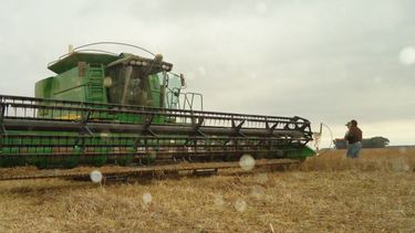 Gestión de personas: políticas salariales agro