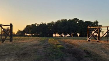 Atardecer campo gestión financiera