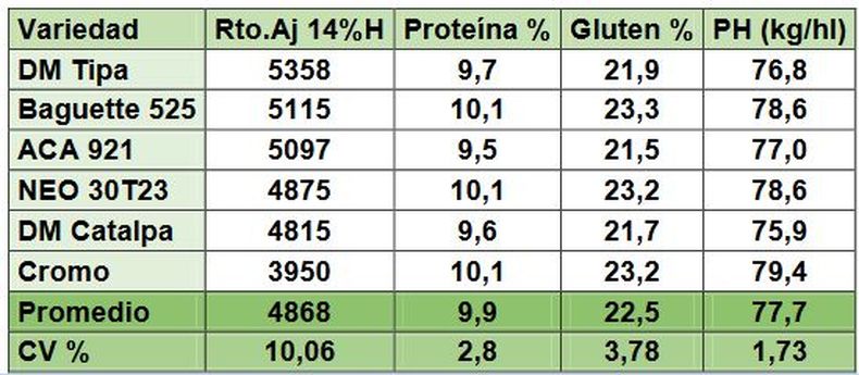 Ensayo en López (ciclo corto). Resultados de calidad de variedades de trigo ordenados según ranking de rendimiento de grano. CV%: coeficiente de variación de la muestra. Rendimiento ajustado con un 14% de humedad. Peso hectolítrico expresado en kg/hl