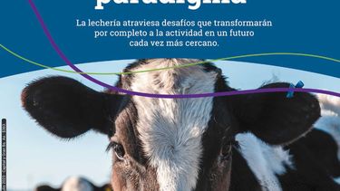 revista crea n° 513 - cambio de paradigma