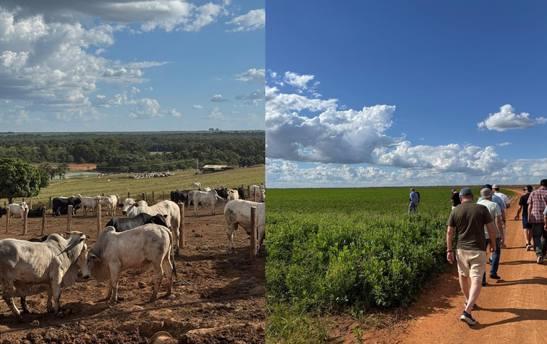 Planteos ganaderos y agrícolas en Mato Grosso. Brasil.