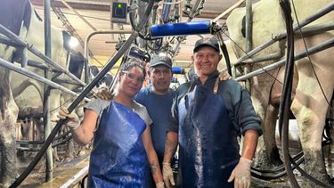 calidad de leche: reconocimiento para una empresa del crea lujan