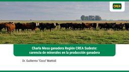 eficiencias ganaderas: manejo de carencia de minerales (charla region crea sudeste)
