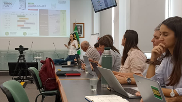 dat crea: informe final de trigo 2022/23
