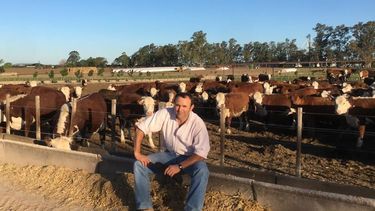 carne del campo al plato: como hizo luis marchi para ofrecer cortes vacunos envasados al vacio