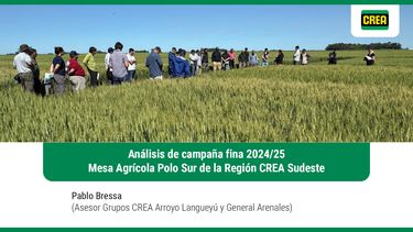 charla region crea sudeste: analisis de campana fina 2024/25 parte i