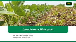 taller malezas dificiles region crea sudeste (3/3): control de malezas parte ii