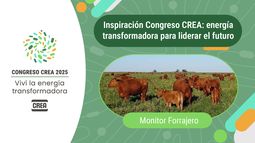 el monitor forrajero crea ya se emplea en mas de 700.000 hectareas ganaderas