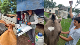 ¡feliz dia del veterinario! claudia es parte la red crea como profesional independiente