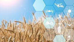 Reporte de Actualidad Agro CREA N° 17 I Abril de 2025.