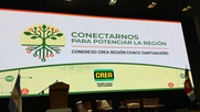 crea chaco santiagueno: el despertar de la vaca viva
