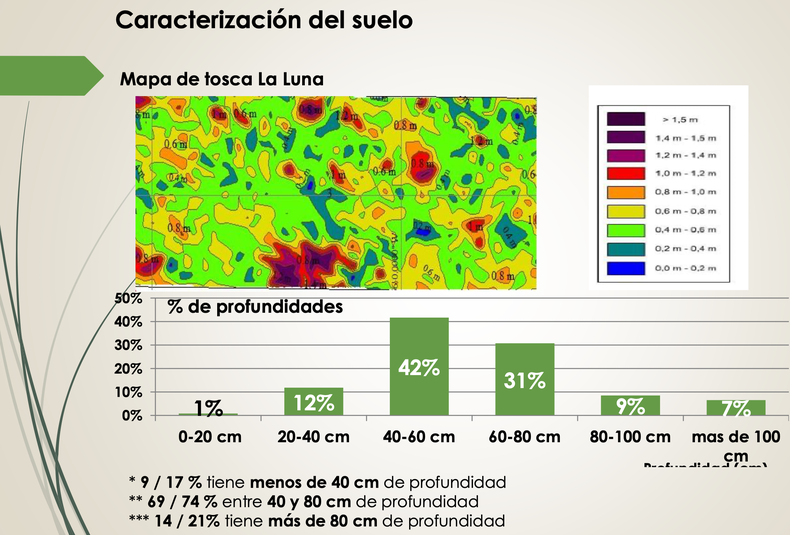 Con los mapas de profundidad de tosca identificaron que 13% de la superficie tiene menos de 40 centímetros de profundidad, 73% se ubica entre 40 y 80 centímetros y el resto supera los 80 centímetros.