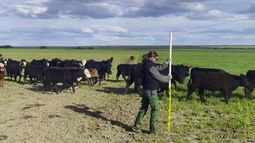 red crea: cuando la vocacion ganadera se descubre de la manera menos pensada