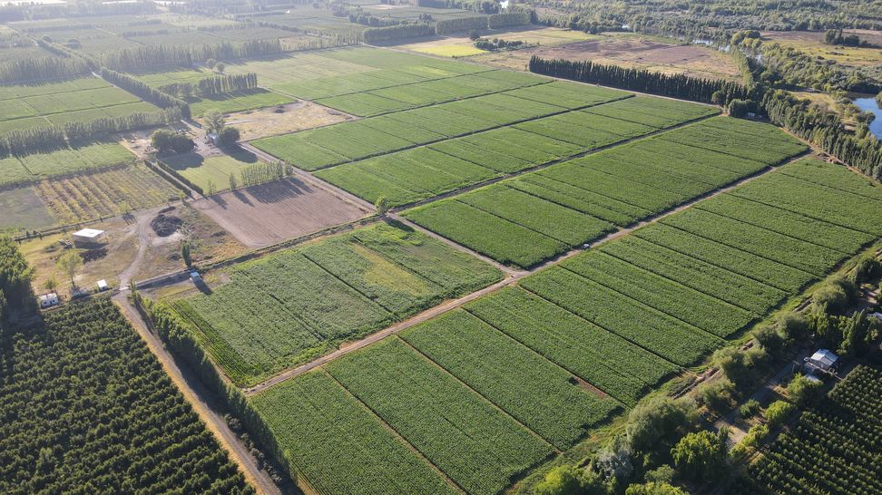 dji_fly_20250102_075430_455_1735815280641_photo.jpg