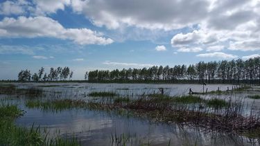 Inundaciones: un desafío patrimonial y productivo para las empresas ganaderas