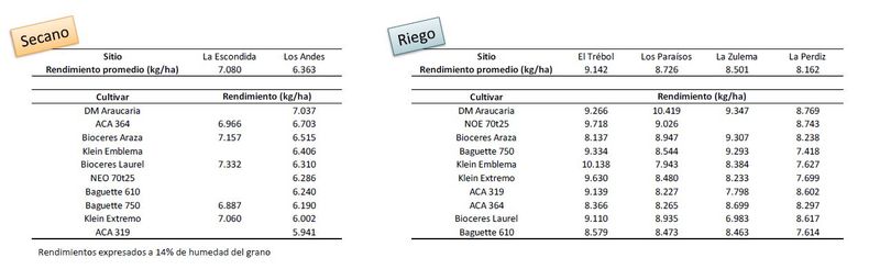 Rendimientos por cultivar y sitio. CREA Centro (2025/26).