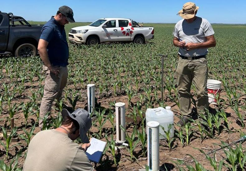 Para buscar soluciones, se definieron distintas líneas de trabajo que combinan ensayos agronómicos, diagnósticos de suelo y alternativas de manejo. El abordaje incluye variables físicas, químicas y biológicas