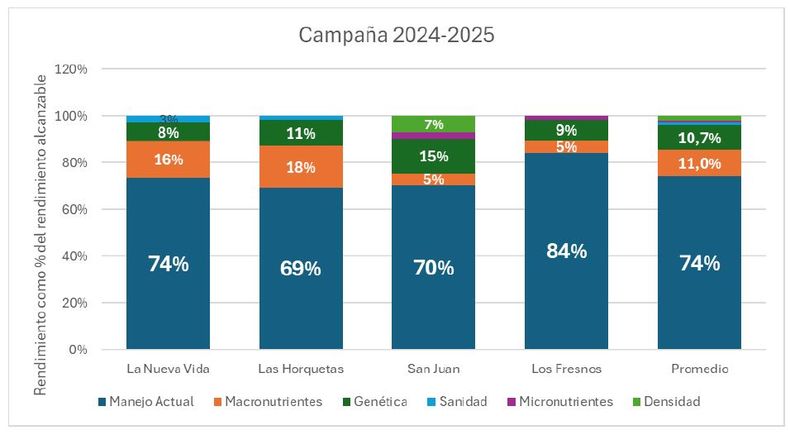 Resultados de los ensayos de brechas de rendimiento de trigo en 2024/25 en la región CREA Sudoeste
