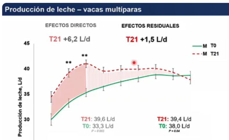 &nbsp;Producci&oacute;n de leche en vacas mult&iacute;paras. Fuente: Contrasting feeding management in the first 21 days postpartum in Holstein dairy cows: direct and residual milk responses (2025)