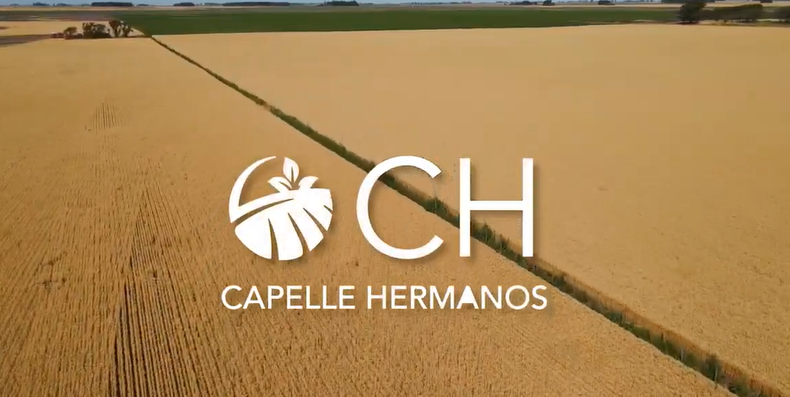 Grupo Capelle