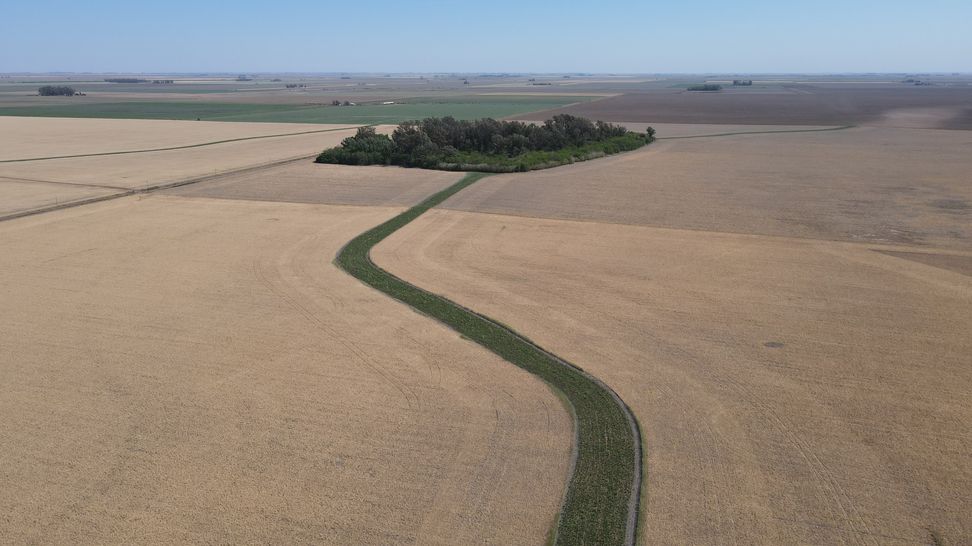 dji_fly_20241011_103116_562_1728653486535_photo.jpg