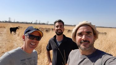 comercializacion ganadera: carne argentina con marca propia