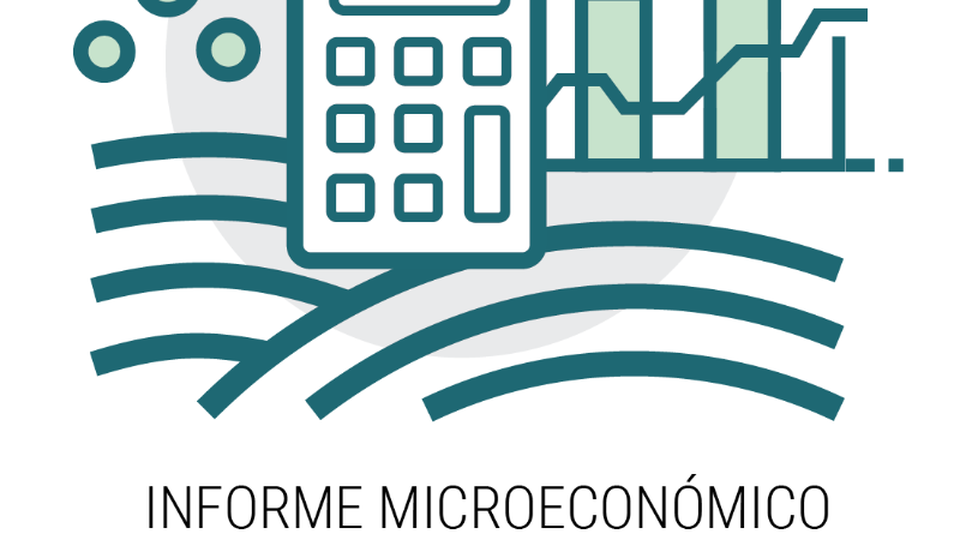 InformeMicro.PNG