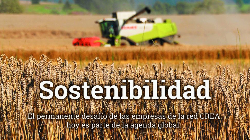 Tapa diciembre 2022 RECORTE.jpg