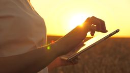 destacados agroseries crea: decidi con la informacion mas relevante