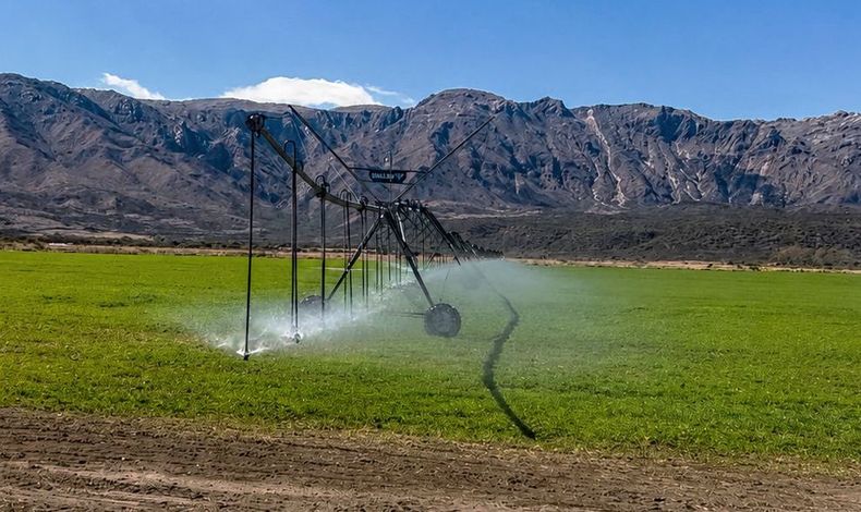 Para producir, el campo se desmontó, se instalaron equipos de riego, se implantaron pasturas megatérmica y se construyó un feedlot.