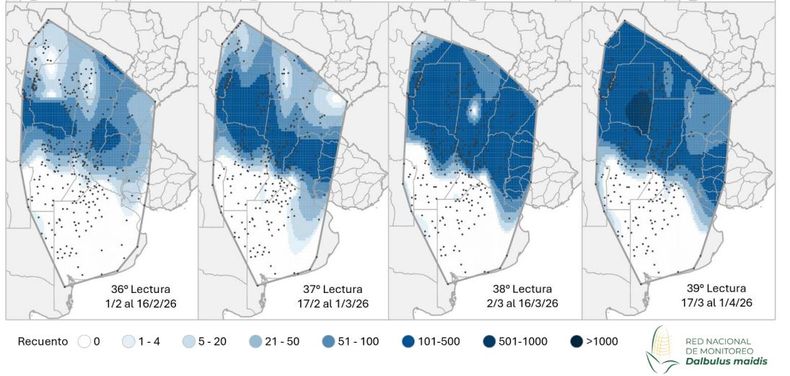 Mapa de calor establecido en funci&oacute;n de la evoluci&oacute;n de la cantidad de adultos de la &ldquo;chicharrita del ma&iacute;z&rdquo; capturados con trampas crom&aacute;ticas adhesivas en las localidades relevadas en los &uacute;ltimos tres informes de la Red Nacional de Monitoreo de Dalbulus maidis.