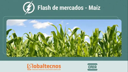 Flash de mercados maíz